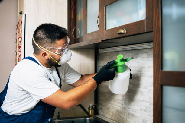 Reliable Lawson, MO Pest Control Solutions