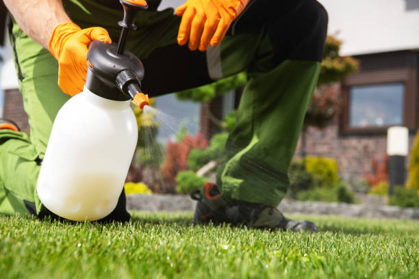 Best Residential Pest Control  in Lawson, MO