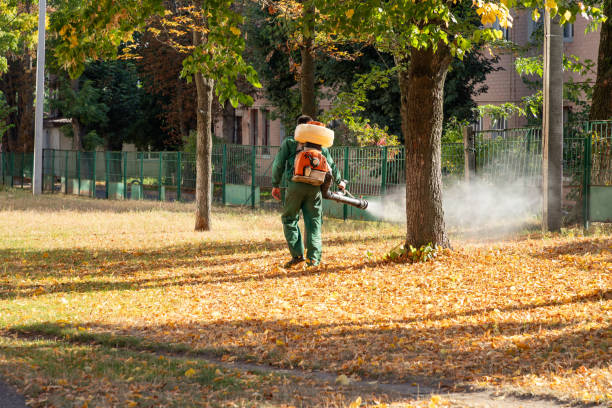 Best Pest Prevention Services  in Lawson, MO