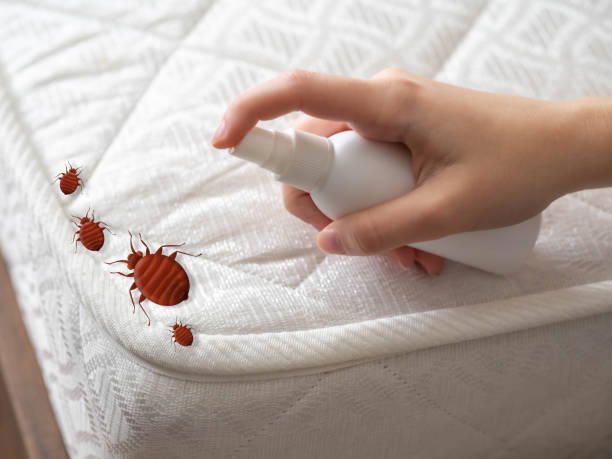 Best Pest Control Near Me in Lawson, MO